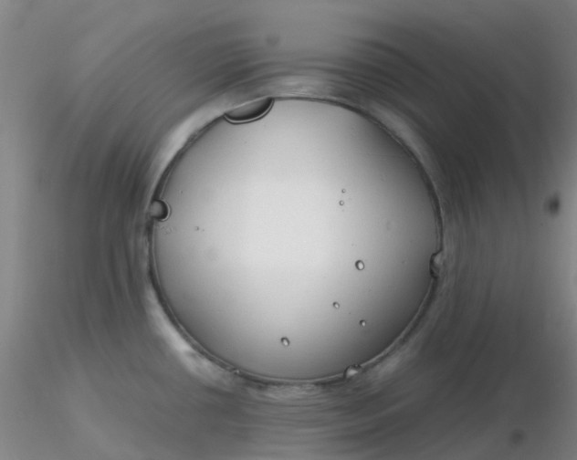 X0000116311434200912211913