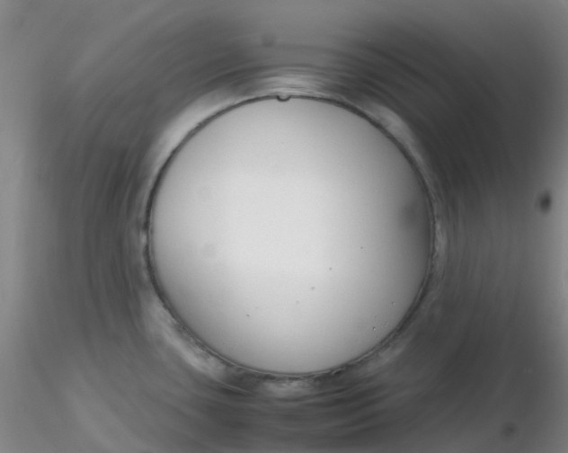 X0000116311435200912211913