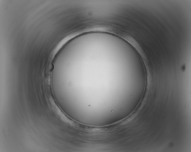 X0000116311436200912211913