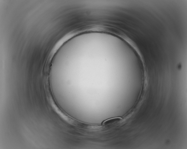 X0000116311437200912211913