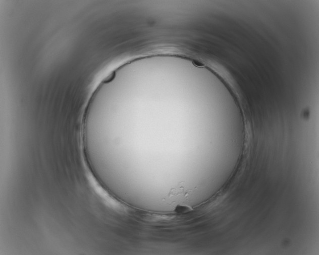 X0000116311439200912211913