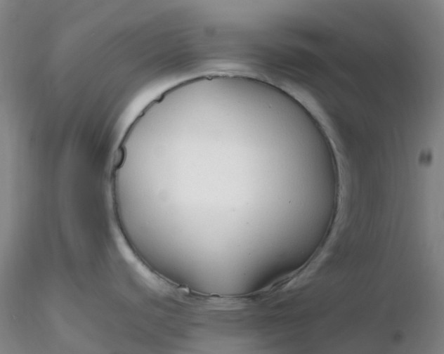 X0000116311440200912211913