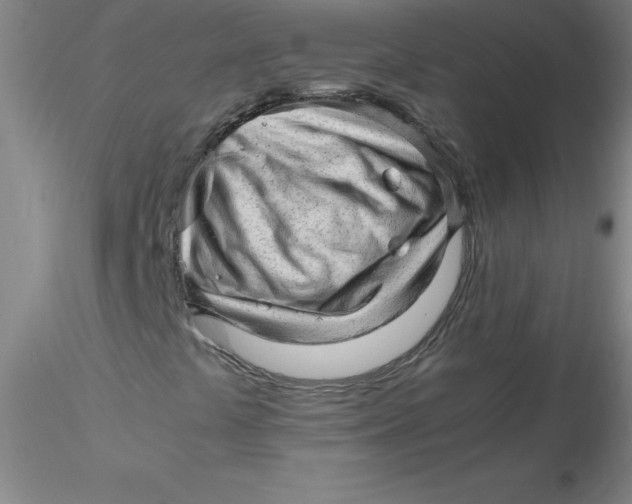 X0000116311441200912211912