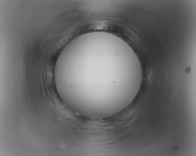 X0000116311442200912211912