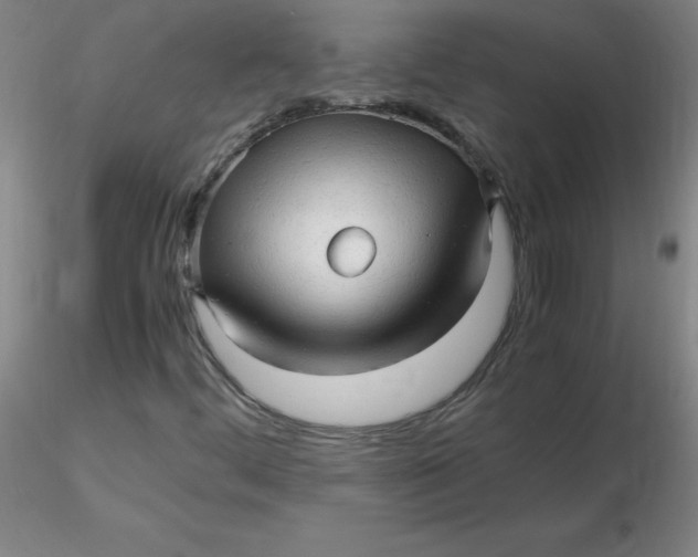 X0000116311444200912211912