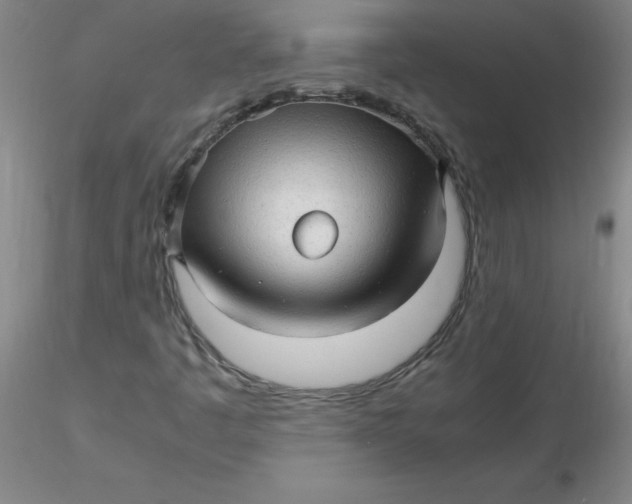 X0000116311445200912211912