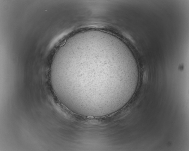 X0000116311448200912211912