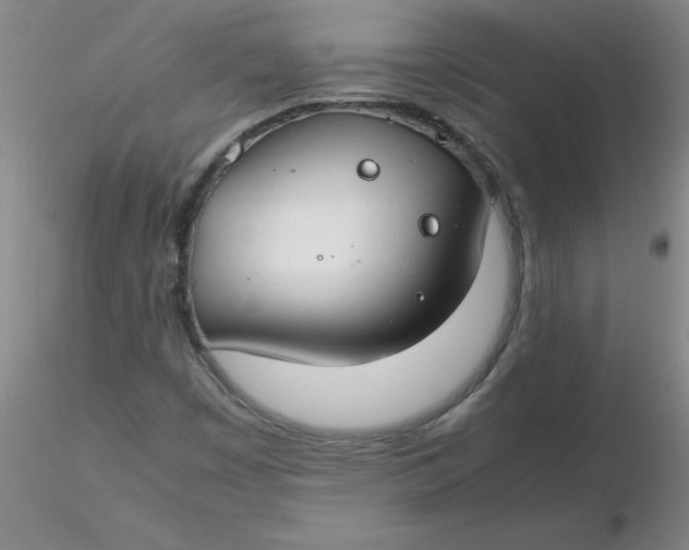 X0000116311449200912211912