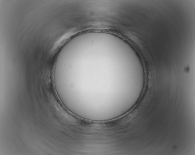 X0000116311451200912211912