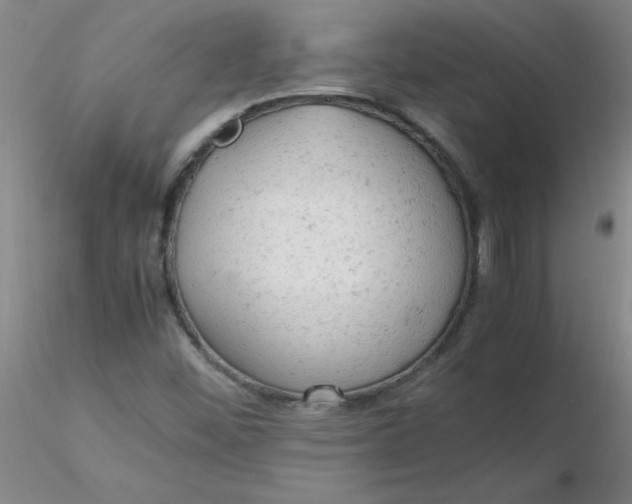 X0000116311452200912211912