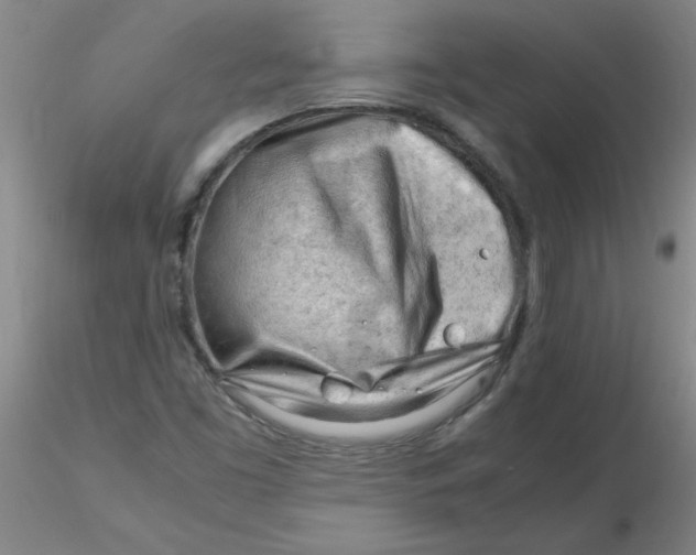 X0000116311453200912211912