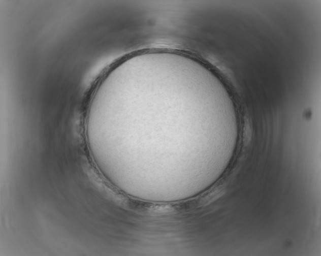 X0000116311454200912211912