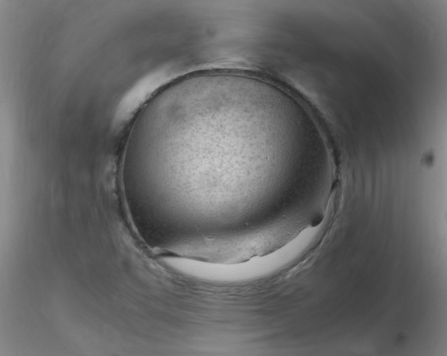 X0000116311455200912211912