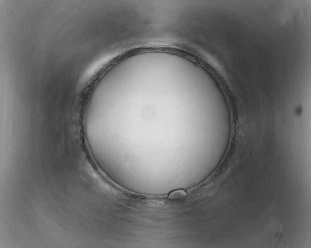 X0000116311456200912211912