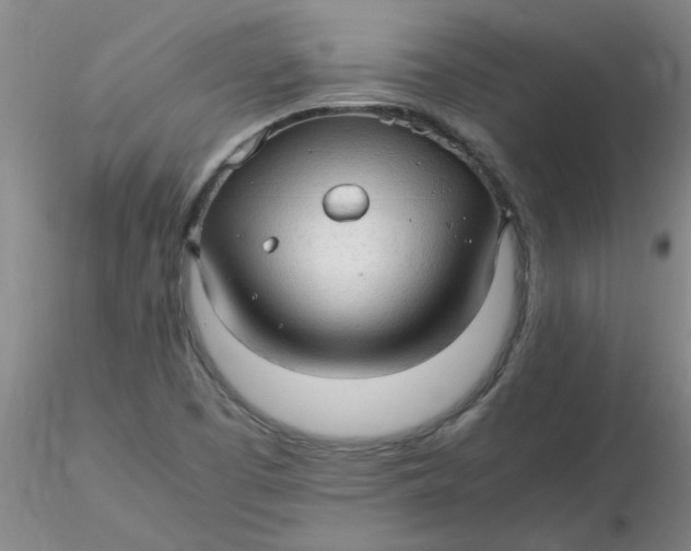 X0000116311457200912211912