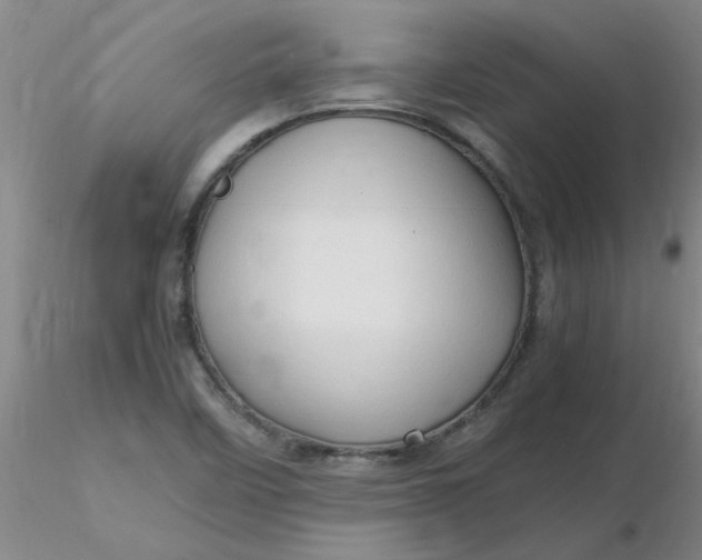 X0000116311458200912211912