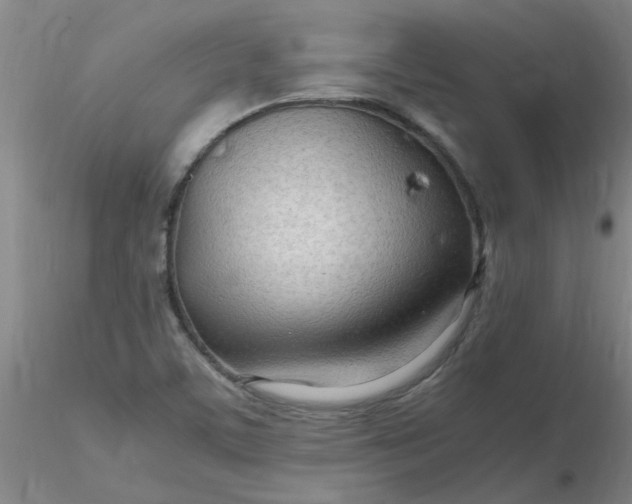 X0000116311459200912211912