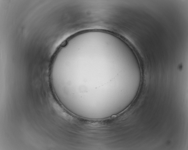 X0000116311460200912211912