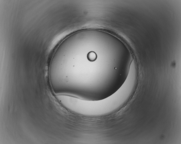 X0000116311461200912211912