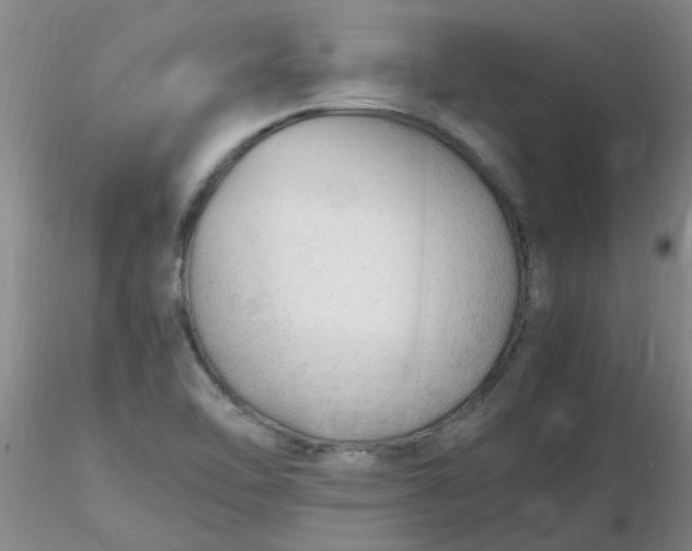 X0000116311462200912211912