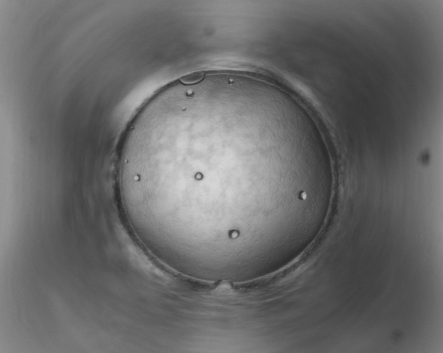 X0000116311463200912211912