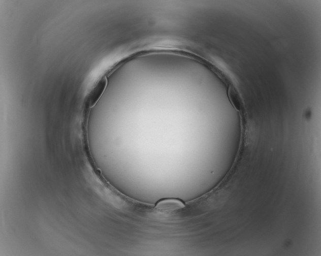 X0000116311464200912211912