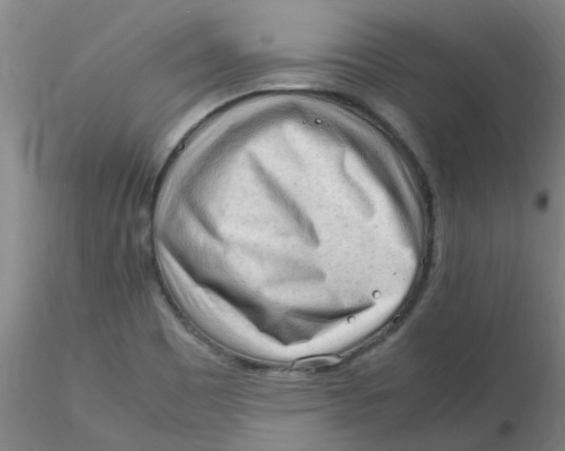 X0000116311465200912211912