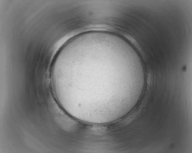 X0000116311466200912211912