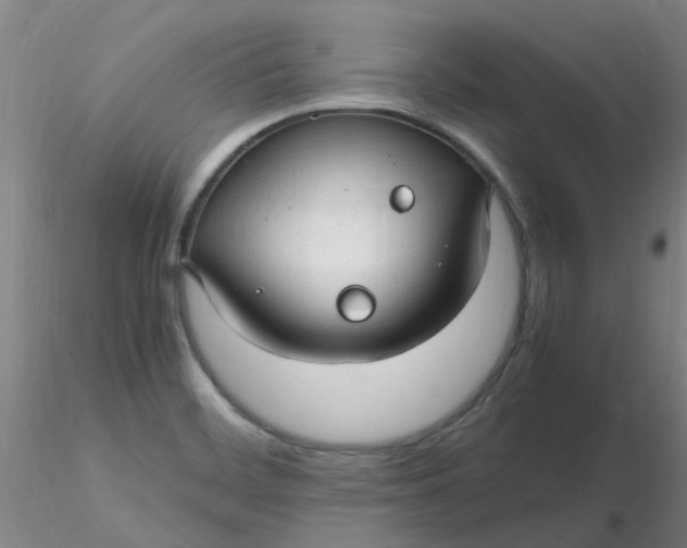 X0000116311468200912211912