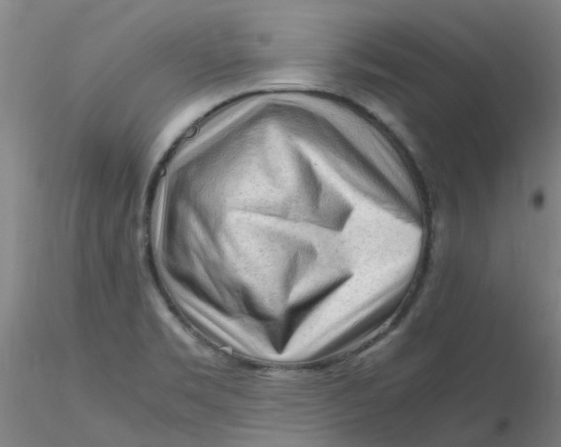 X0000116311469200912211912