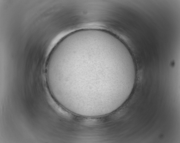 X0000116311470200912211912