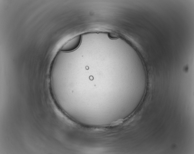 X0000116311471200912211912