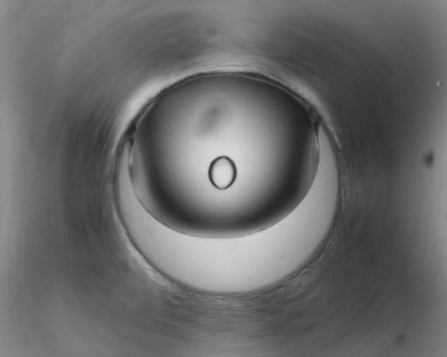 X0000116311472200912211912