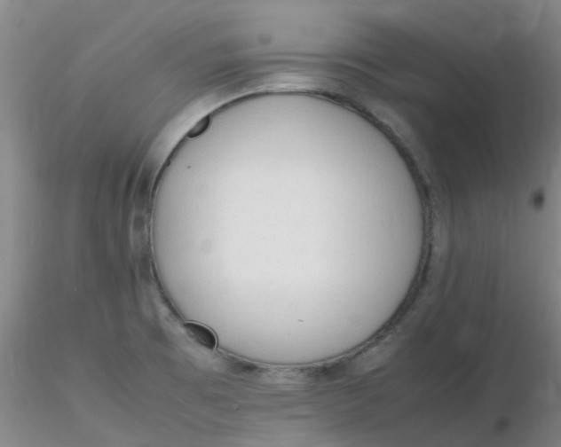 X0000116311473200912211912