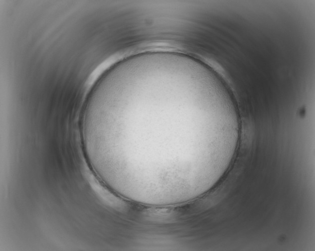 X0000116311474200912211912