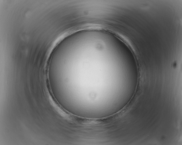 X0000116311475200912211912