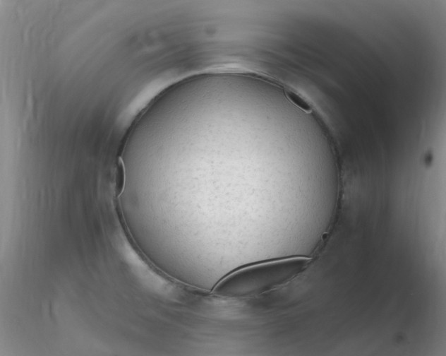 X0000116311476200912211912