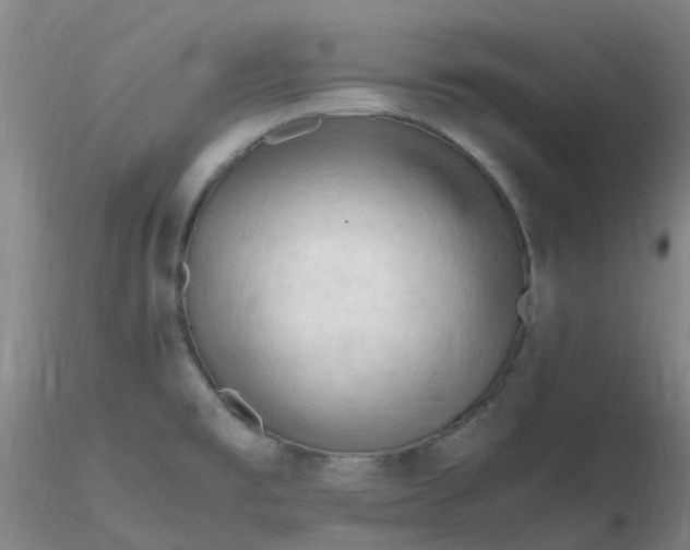 X0000116311477200912211912