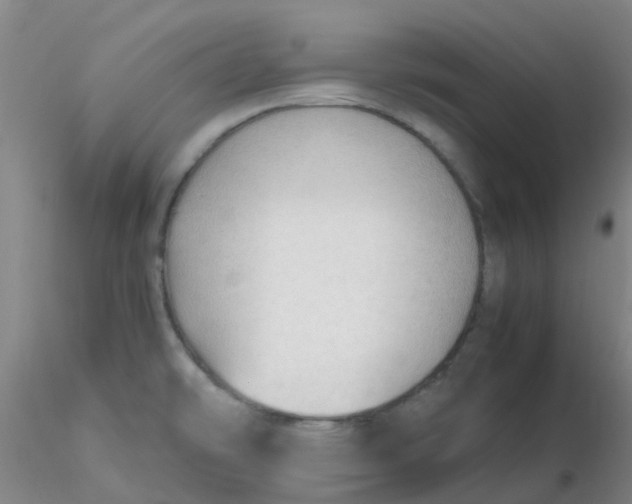 X0000116311478200912211912