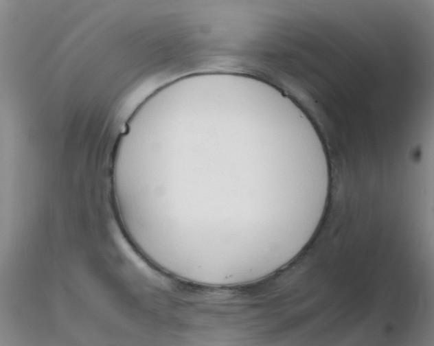 X0000116311479200912211912