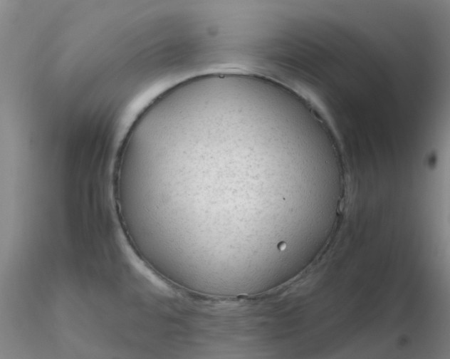 X0000116311480200912211912