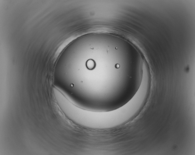 X0000116311481200912211912