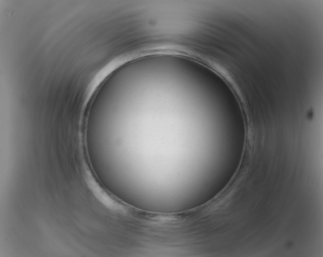 X0000116311482200912211912