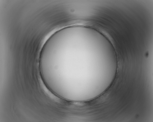 X0000116311483200912211912