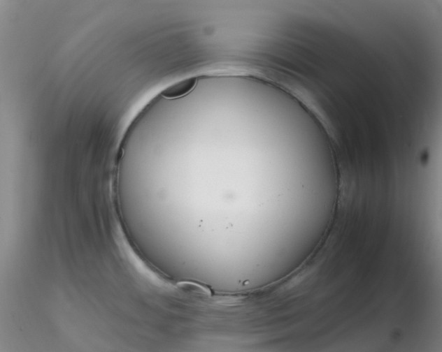 X0000116311484200912211912