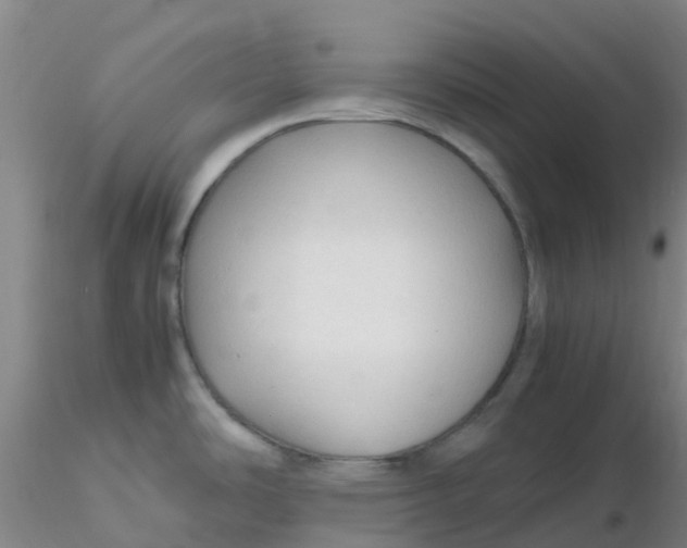 X0000116311486200912211912