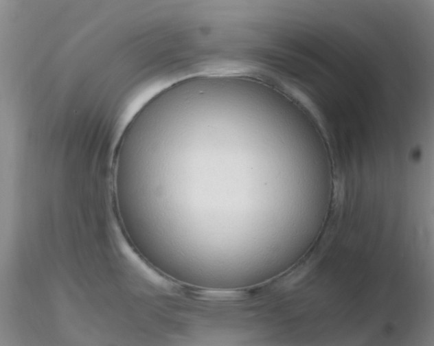 X0000116311487200912211912