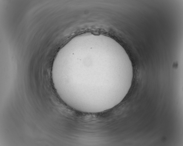 X0000116311489200912211911