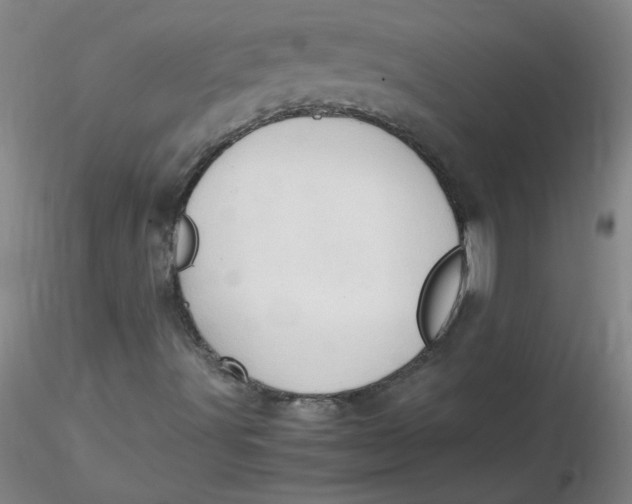 X0000116311491200912211911