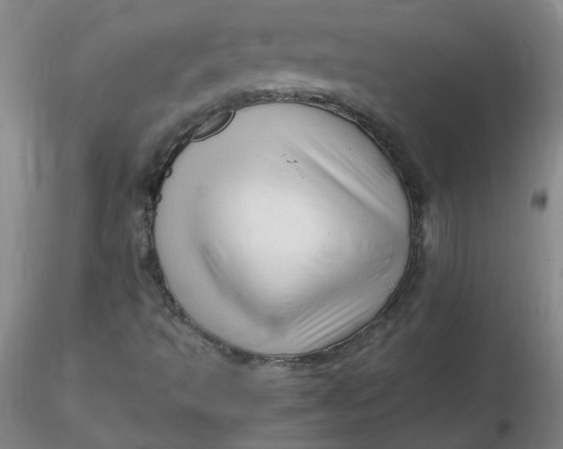 X0000116311493200912211911